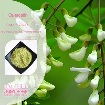 Extrait végétal de quercétine en poudre 98% extrait de Sophora Japonica CAS 117-39-5
