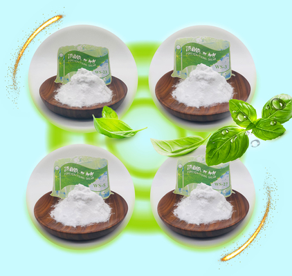 Agent de refroidissement de qualité alimentaire WS-27 en poudre pour e-liquides et arômes