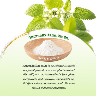 Poudre d'oxyde de caryophyllène avec un point de fusion de 55 à 62 °C, un point d'ébullition de 301,3 °C et une densité de 0,96 pour les applications pharmaceutiques
