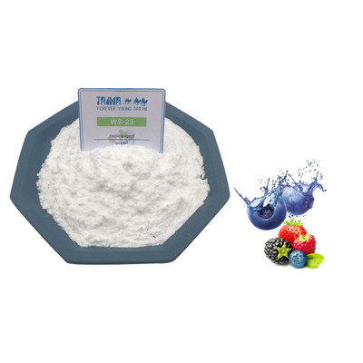 CAS 51115-67-4 Agent rafraîchissant WS-23 de qualité alimentaire, poudre blanche