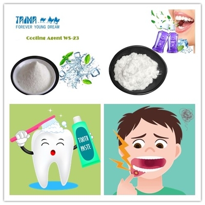 Crème dentifrice à base de menthe Ws23 poudre de réfrigérant