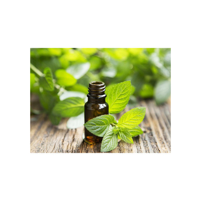 CAS 8006-90-4 Feuilles d'huile essentielle de menthe poivrée pure anti-inflammatoire