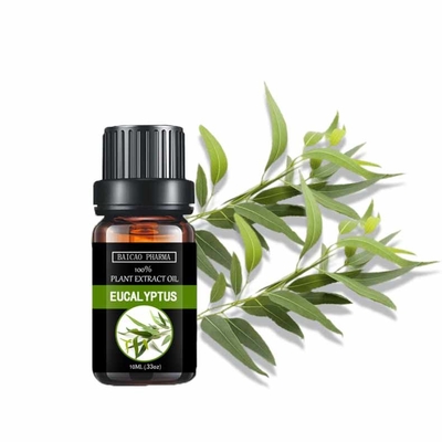 Extrait de feuille d'eucalyptus naturel pur Huile essentielle d'eucalyptus