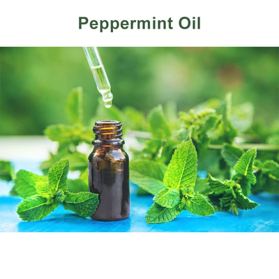 Huile essentielle de menthe poivrée sans couleur CAS 8006-90-4