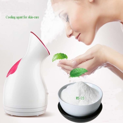 WS-23 Poudre agent rafraîchissant pour soins de la peau CAS 51115-67-4