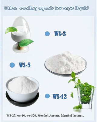 poudre WS-23 Agents de refroidissement 5111-67-4 pour les jus d'ours mieux que le menthol