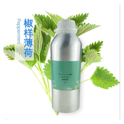 Huile essentielle de menthe poivrée pure en vrac avec échantillon gratuit
