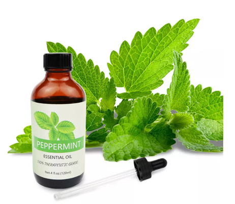 ODM 100% huile essentielle de menthe poivrée naturelle pour les soins de la peau