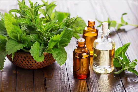 Extrait de Menthe Poivrée Bio 100% Naturel Huile Essentielle de Menthe 30ML