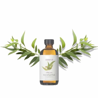 HPLC Huile essentielle d'eucalyptus aromatique pur pour lutter contre le gonflement CAS 470-82-6