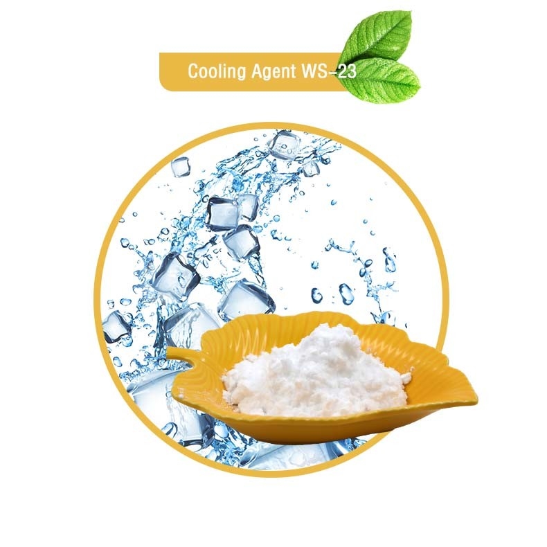 Agent de refroidissement de qualité alimentaire Ws23/Ws5/Ws3/Ws27/Ws10/Ws12 en vrac Agent de refroidissement WS-23/Ws5/Ws3/Ws27/Ws10/Ws12