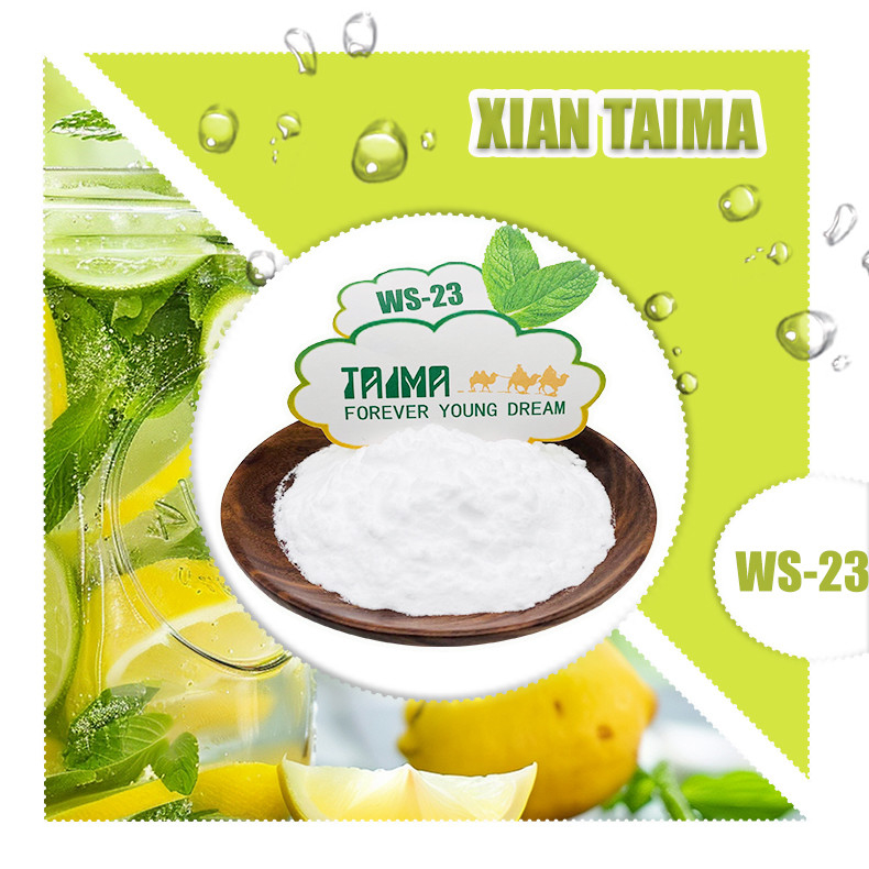 Agent de refroidissement alimentaire WS-23 fabricant, amplificateur de saveur, agent de refroidissement et de renforcement de type menthe, échantillon gratuit, quantité minimale de lot 1 kg