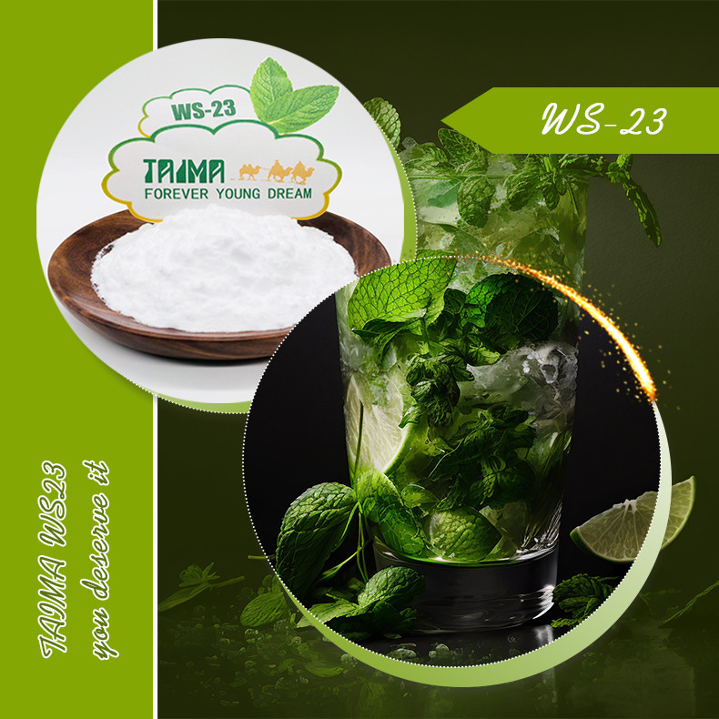 Agents de refroidissement WS-23 poudre 99% n° CAS 51115-67-4 Agents de refroidissement WS23 de qualité alimentaire pour les vapeurs alimentaires et les boissons