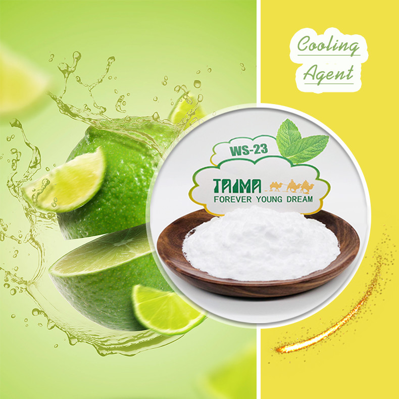 Améliorant la sensation de fraîcheur XIAN TAIMA WS-23 Refroidisseur de qualité alimentaire largement utilisé pour les produits quotidiens