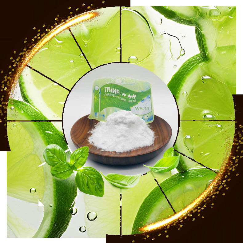 Nom chimique N Pureté 99,0% min Supercool Ice Cooling Agent sans odeur ni saveur WS23