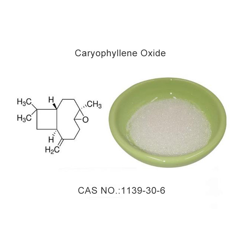 Poudre d'oxyde de caryophyllène avec un point de fusion de 55 à 62 °C, un point d'ébullition de 301,3 °C et une densité de 0,96 pour les applications pharmaceutiques