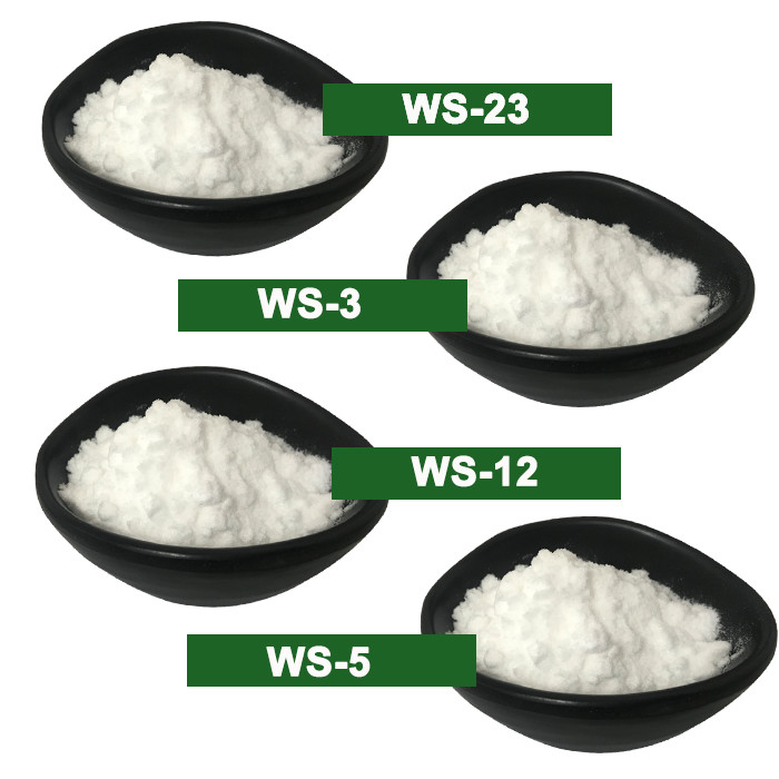 CAS 68489-14-5 Koolada Ws5 Agent Rafraîchissant de Qualité Alimentaire pour Soins Bucco-dentaires