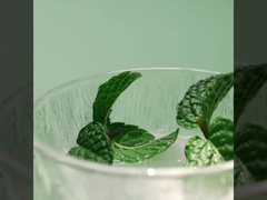 Halal Natural Cooling Agent Powder Ws-27 For Daily CAS 51115-70-9