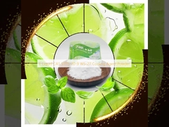 E-liquide CAS 51115-70-9 Poudre d'agent rafraîchissant WS-27